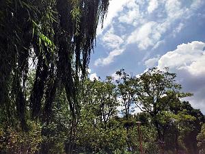 Kunming - Parc Cuihu - 43